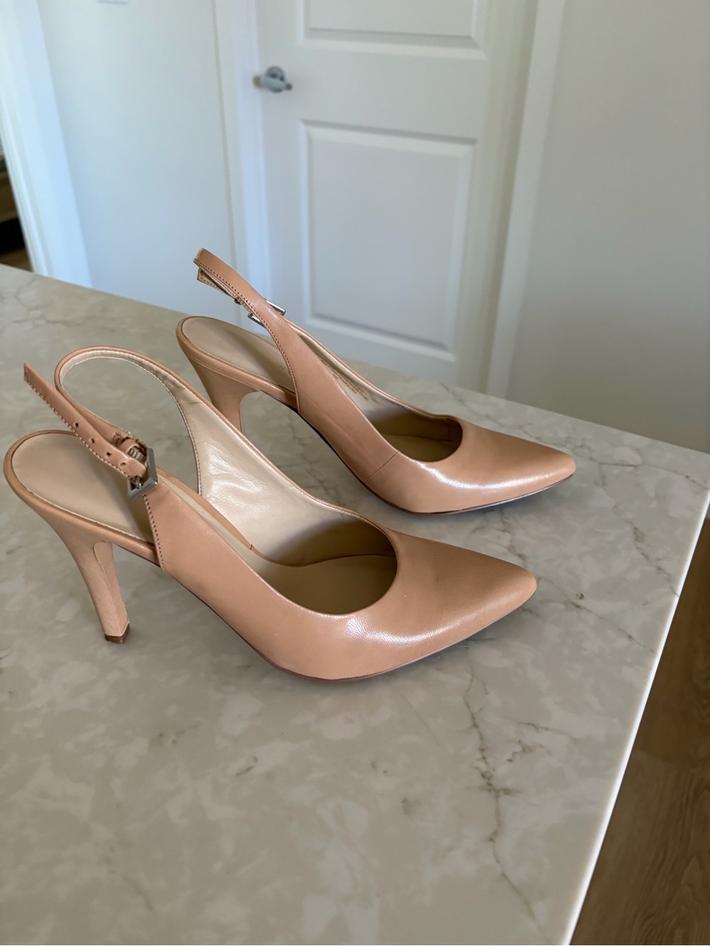 Slingback Pointed-Toe Heels in Nude Pink